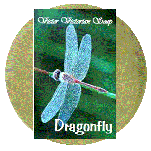 dragonfly